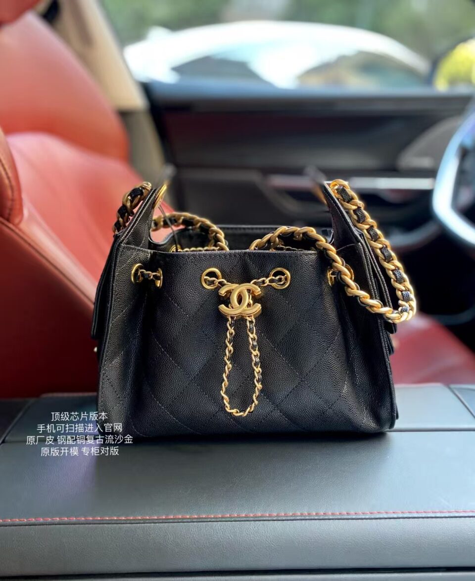 Chanel 25 Mini Hobo Bag